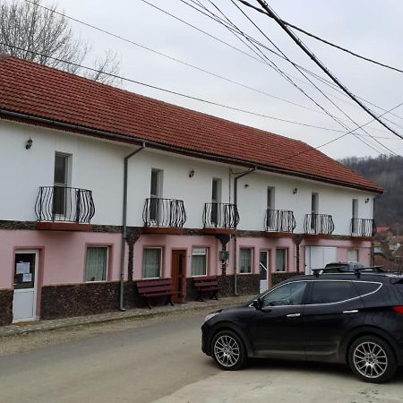Pensiunea Lucica Sacelu Exteriör bild